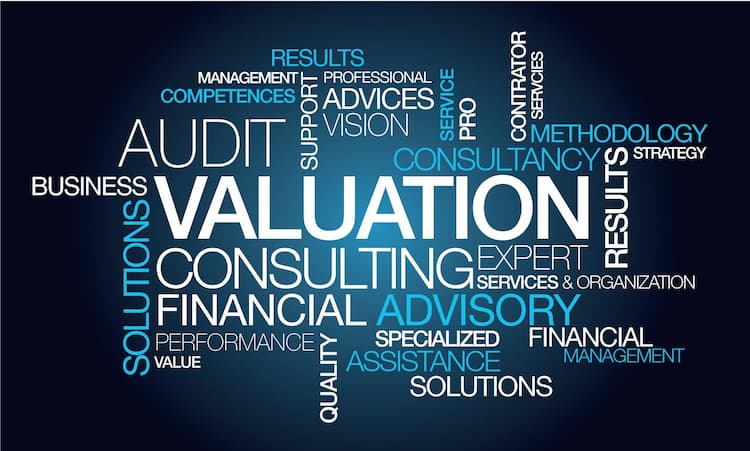 Benefits of Hiring a Business Valuation Consultant for Startups and SMEs